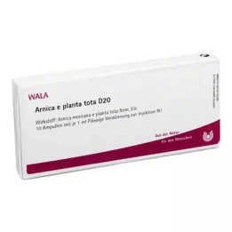 ARNICA E Planta tota D 20 ampul, 10X1 ml