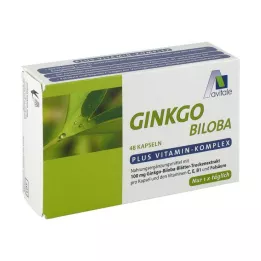 GINKGO 100 mg kapsule+B1+C+E, 48 kos