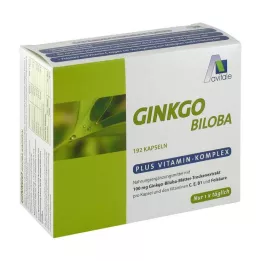 GINKGO 100 mg kapsule+B1+C+E, 192 kos