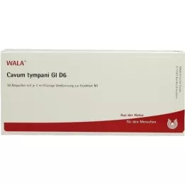 CAVUM tympani GL D 6 ampul, 10X1 ml
