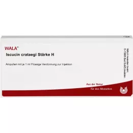 ISCUCIN crataegi Strength H Ampule, 10X1 ml