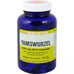 YAMSWURZEL 500 mg GPH kapsule, 120 kos