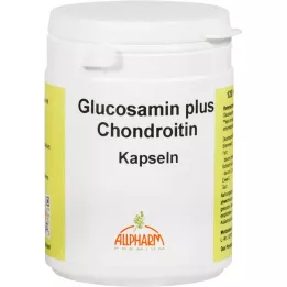GLUCOSAMIN+CHONDROITIN kapsule, 120 kos