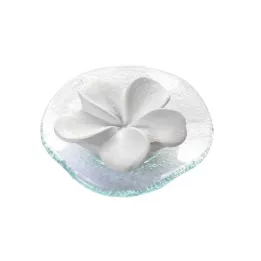 DUFTSTEIN Frangipani steklen krožnik prozoren, 1 kos