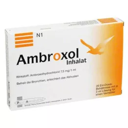 AMBROXOL Inhalacijska raztopina za nebulator, 20X2 ml