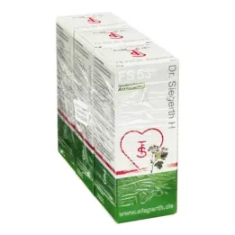 FS 53 Dr.Siegerth H tekočina, 3X100 ml