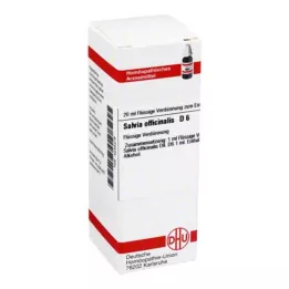 SALVIA OFFICINALIS D 6 Razredčitev, 20 ml