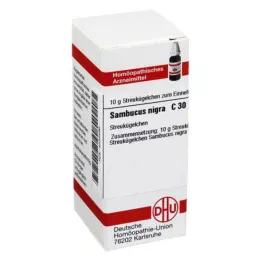 SAMBUCUS NIGRA C 30 Globuli, 10 g