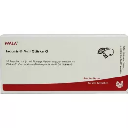 ISCUCIN mali jakost G ampule, 10X1 ml