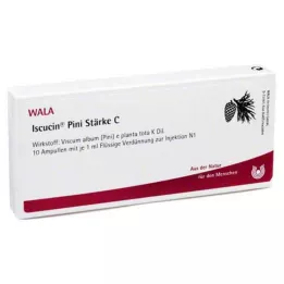 ISCUCIN pini jakost C ampule, 10x1 ml