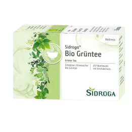 SIDROGA Filter vrečke zelenega čaja Wellness, 20X1,7 g