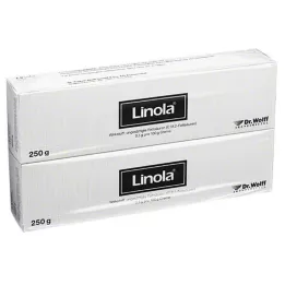 LINOLA Smetana, 2X250 g