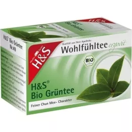 H&S bio filter vrečka zelenega čaja, 20X2,0 g