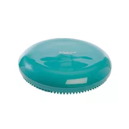 SITZKISSEN RFM zelena, 1 kos