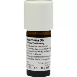 VAUCHERIA D 6 Razredčitev, 20 ml