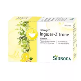 SIDROGA Filter vrečke čaja Wellness ingver-limona, 20X2,0 g