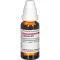 LEPTANDRA D 12 Razredčitev, 20 ml