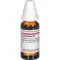 LYCOPODIUM D 5 Razredčitev, 20 ml