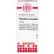 PHOSPHORUS AMORPHUS D 10 tablet, 80 kos