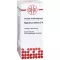 RAPHANUS SATIVUS D 4 razredčitev, 20 ml