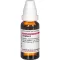ZINGIBER Matična tinktura, 20 ml