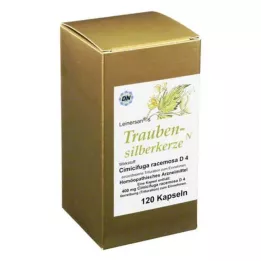 TRAUBENSILBERKERZE Kapsule, 120 kos