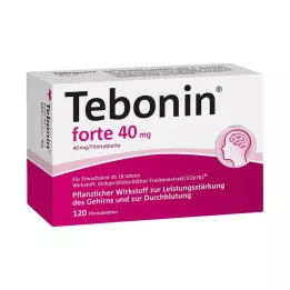 TEBONIN forte 40 mg filmsko obložene tablete, 120 kos