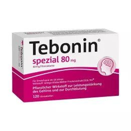TEBONIN posebne 80 mg filmsko obložene tablete, 120 kos