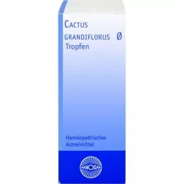 CACTUS GRANDIFLORUS Hanosan matična tinktura, 20 ml