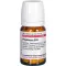 PHYTOLACCA D 10 tablet, 80 kos