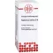 RAPHANUS SATIVUS D 6 Razredčitev, 20 ml