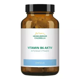 VITAMIN B6 KAPSULE, 120 kos