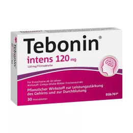 TEBONIN intens 120 mg filmsko obložene tablete, 30 kom
