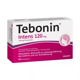TEBONIN intens 120 mg filmsko obložene tablete, 60 kom