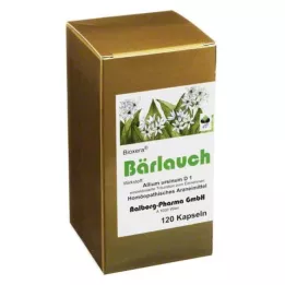 BÄRLAUCH KAPSULE, 120 kos