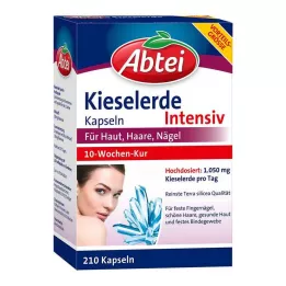 ABTEI Kremenčeve kapsule, 210 kos