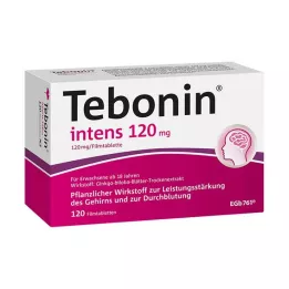 TEBONIN intens 120 mg filmsko obložene tablete, 120 kom