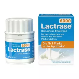 LACTRASE 6.000 FCC kapsul, 60 kos