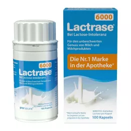 LACTRASE 6.000 FCC kapsul, 100 kos