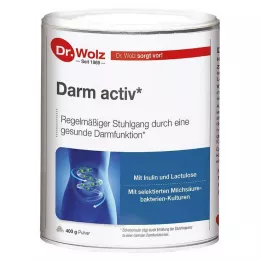 DARM ACTIV Dr.Wolz prašek, 400 g