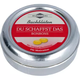 BACHBLÜTEN Bonboni Murnauers You Can Do It, 50 g