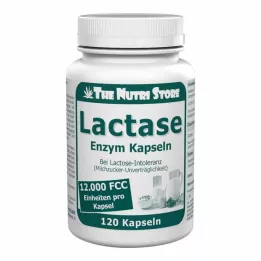 LACTASE 12.000 FCC Encimske kapsule, 120 kos
