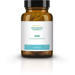 SAM S-ADENOSYLMETHIONIN kapsule, 60 kos