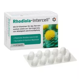 RHODIOLA-INTERCELL kapsule, 60 kos