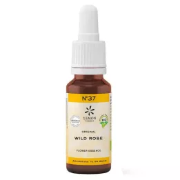 BACHBLÜTEN No.37 Wild Rose Organic, 20 ml