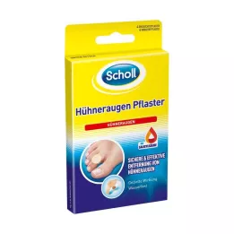 SCHOLL Kurski obliži, 4 kosi