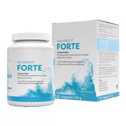 LACTOBACT Forte gastrorezistentne kapsule, 120 kom