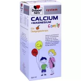 DOPPELHERZ Sistemska tekočina družine Kalcij+Magnezij, 250 ml
