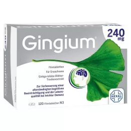 GINGIUM 240 mg filmsko obložene tablete, 120 kos