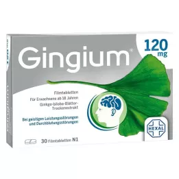 GINGIUM 120 mg filmsko obložene tablete, 30 kom